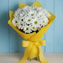 Букет цветов из:  Хризантемы в Павлищево