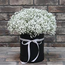 Цветочная композиция из Гипсофила в шляпной коробке в Павлищево